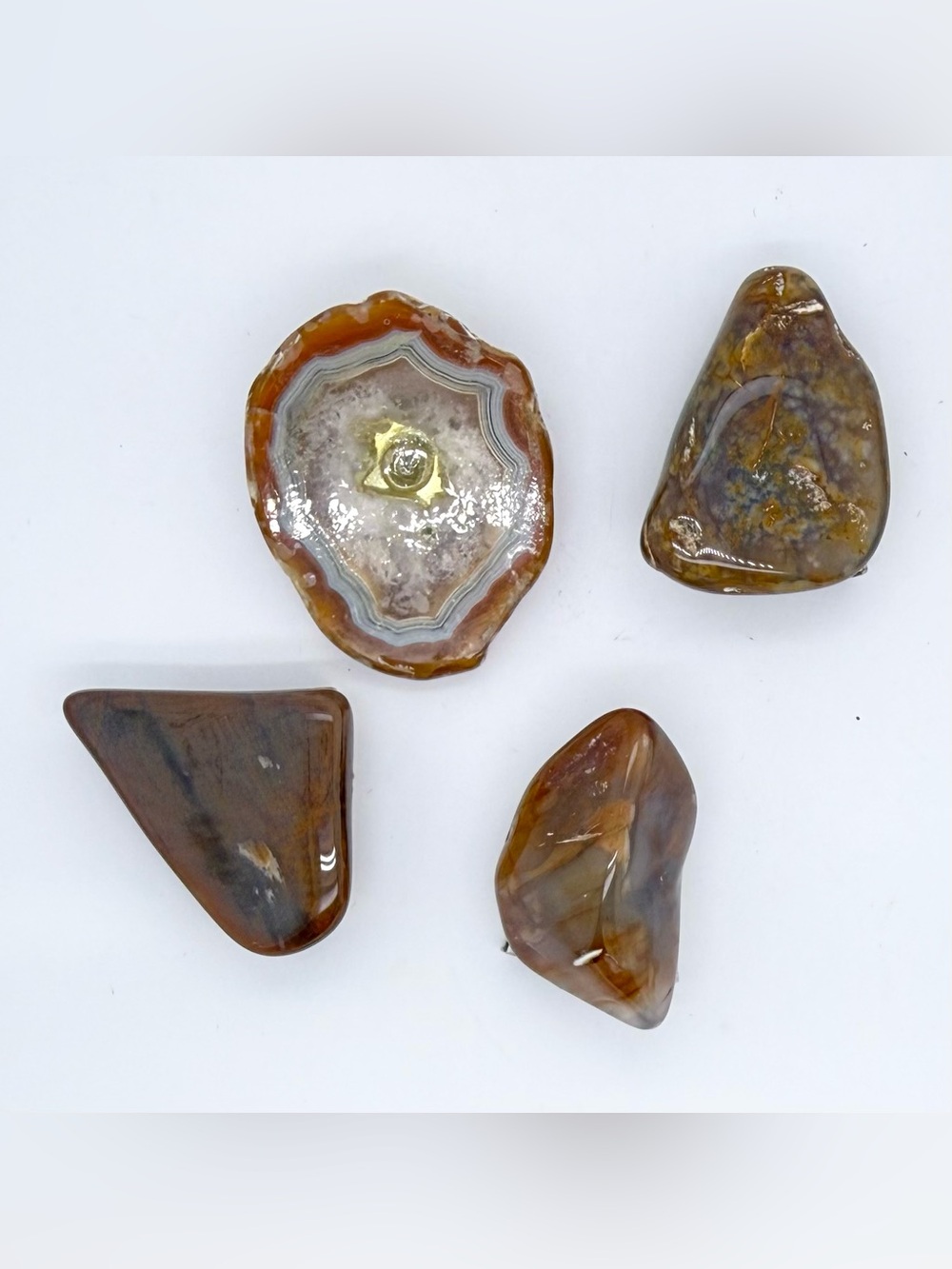 Lot 4 Polished Brown Agate Gemstone Natural Stones Bolo Tie Cowboy Rodeo NFR
